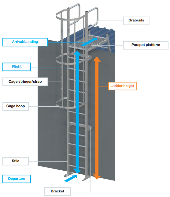 Paignton Industrial Roofing offering Roof Katt Ladders across Deven